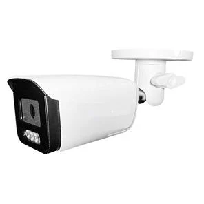 IP камера видеонаблюдения Tels IP-BM630FSAP-DL