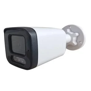 IP камера видеонаблюдения Tels IP-BM830FSAP-IR